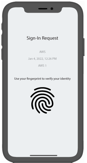 Biometric authentication request